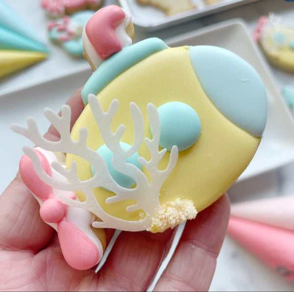 Shell-Yeah! Cookie Decorating Mon. July 28th 6:30-8:30pm